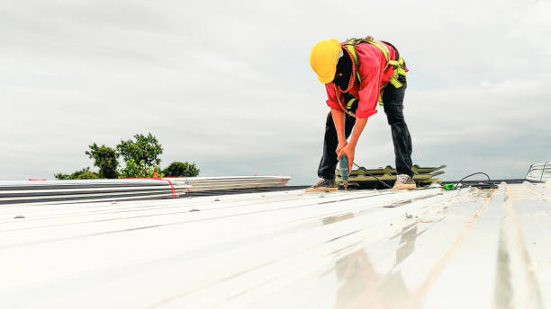 Gutter Replacement in Donaldsonville, LA